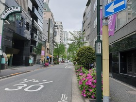 Streewalk in Tokyo, Japan, 2019